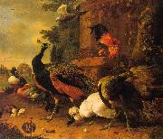 Melchior de Hondecoeter Birds in a Park oil painting
